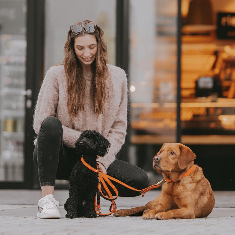 Kentucky Dogwear - Laisse pour chien nylon tressé Plaited Nylon 120 cm orange