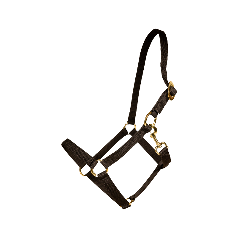 Kentucky Horsewear - Zwarte nylon halster 