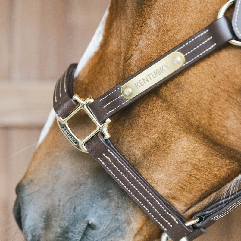 Kentucky Horsewear - Licol en cuir Wellington brun
