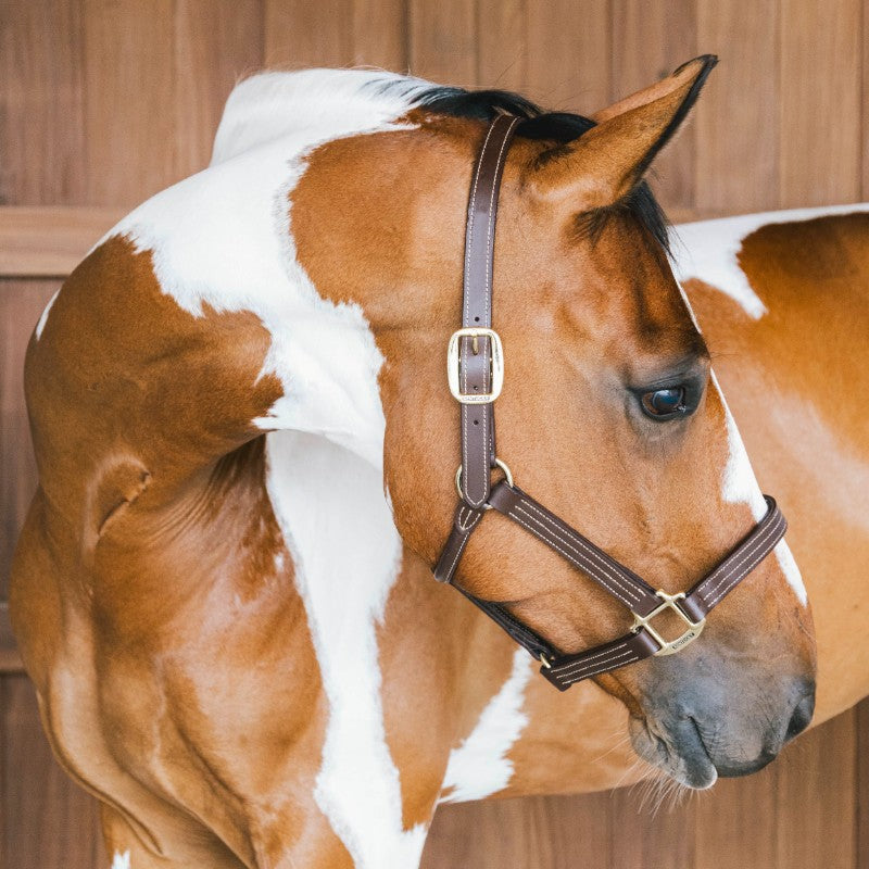Kentucky Horsewear - Licol en cuir Wellington brun