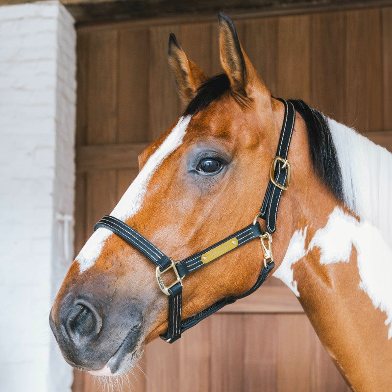 Kentucky Horsewear - Licol en cuir Wellington noir