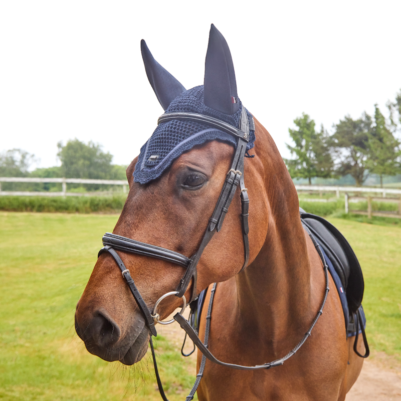 Kingsland - Hoofdkap voor paarden KLNelly marine 