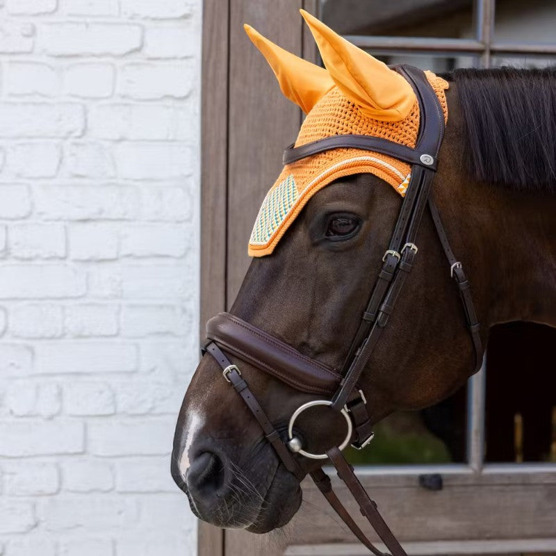 Kentucky Horsewear - Mütze für Pferde Wellington Samt Druck bunte Würfel 
