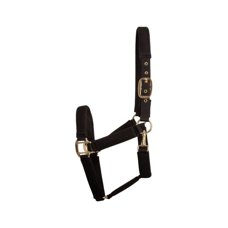 Kentucky Horsewear - Licol pour chevaux Halter noir | - Ohlala