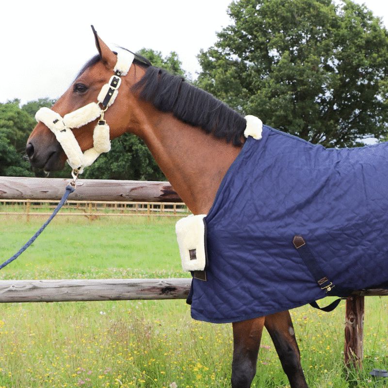 Kentucky Horsewear - Protection de poitrail en mouton naturel | - Ohlala