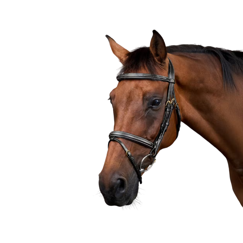 Dyon - Kombinierte Nasenriemen von Dy'on Collection schwarz 