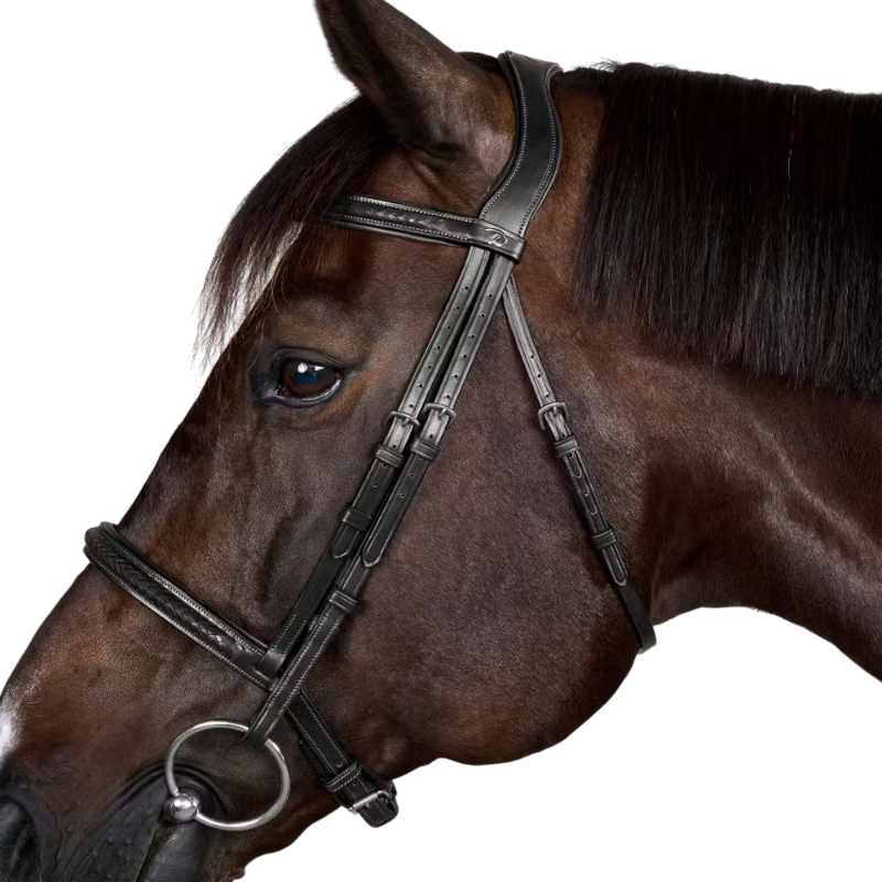 Dyon - Bridon Neue englische Kollektion schwarz 