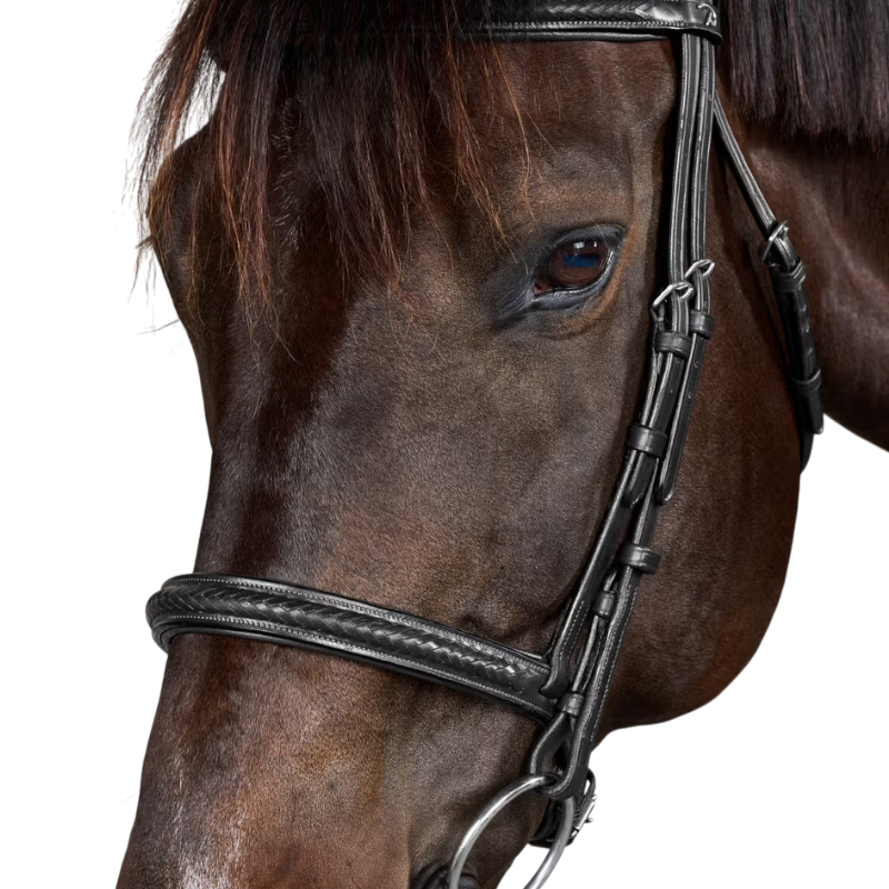 Dyon - Bridon Neue englische Kollektion schwarz 