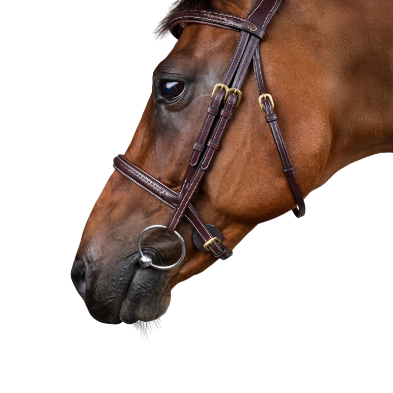 Dyon - Vlecht teugel Dy'on Collectie bruin 