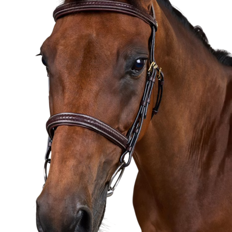 Dyon - Vlecht teugel Dy'on Collectie bruin 