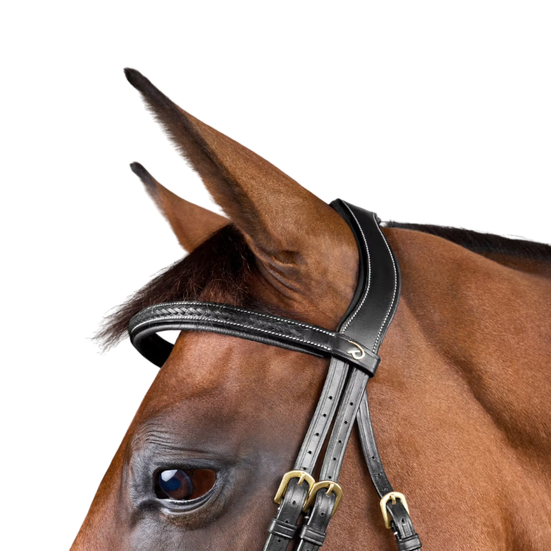 Dyon - Geflochtenes Zaumzeug Dy'on Kollektion schwarz 