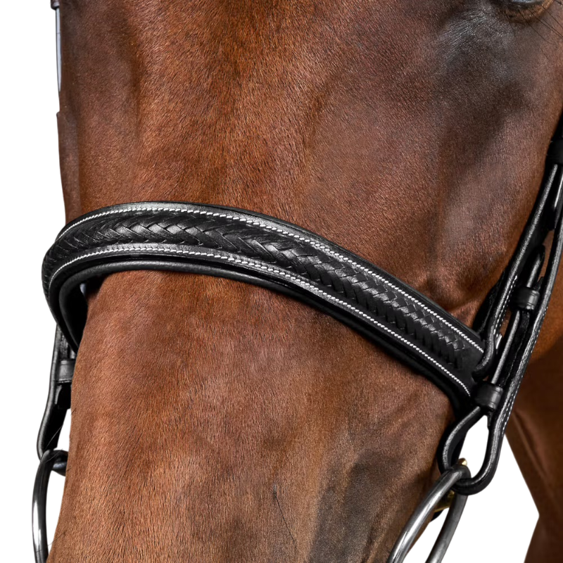 Dyon - Vlechtte teugels Dy'on Collectie zwart 