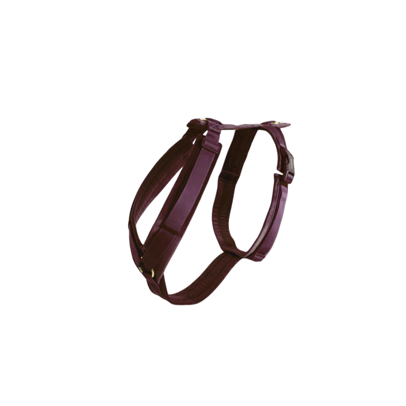 Kentucky Dogwear - Harnais pour chien actif velours bordeaux