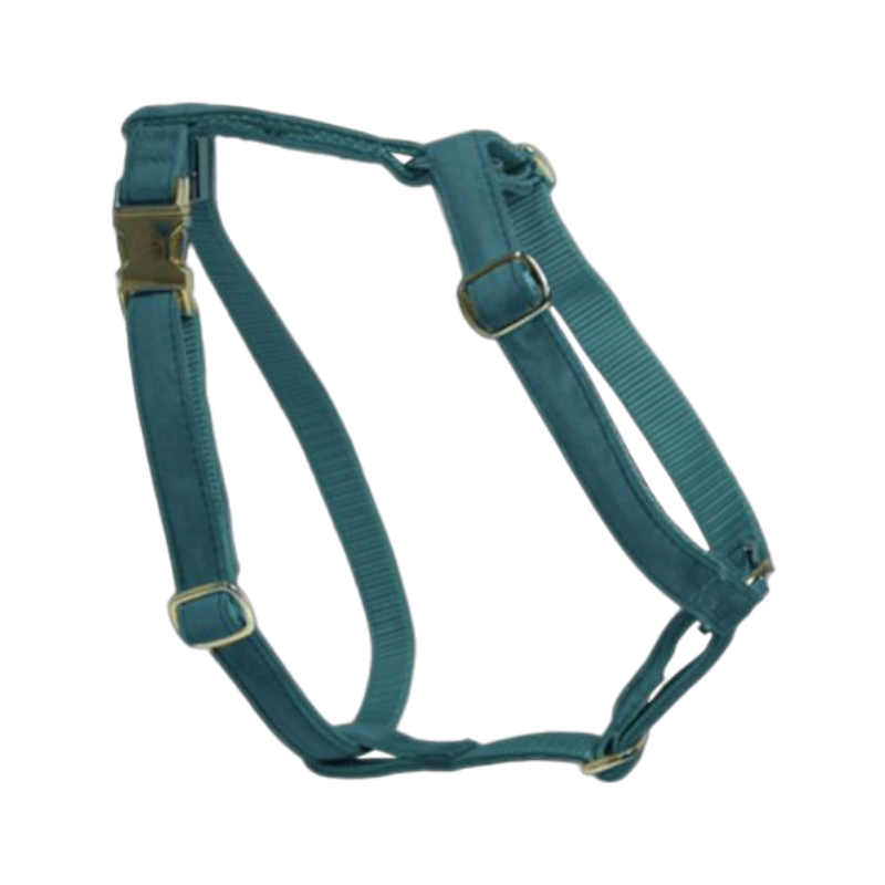 Kentucky Dogwear - Harnais pour chiens Velvet émeraude