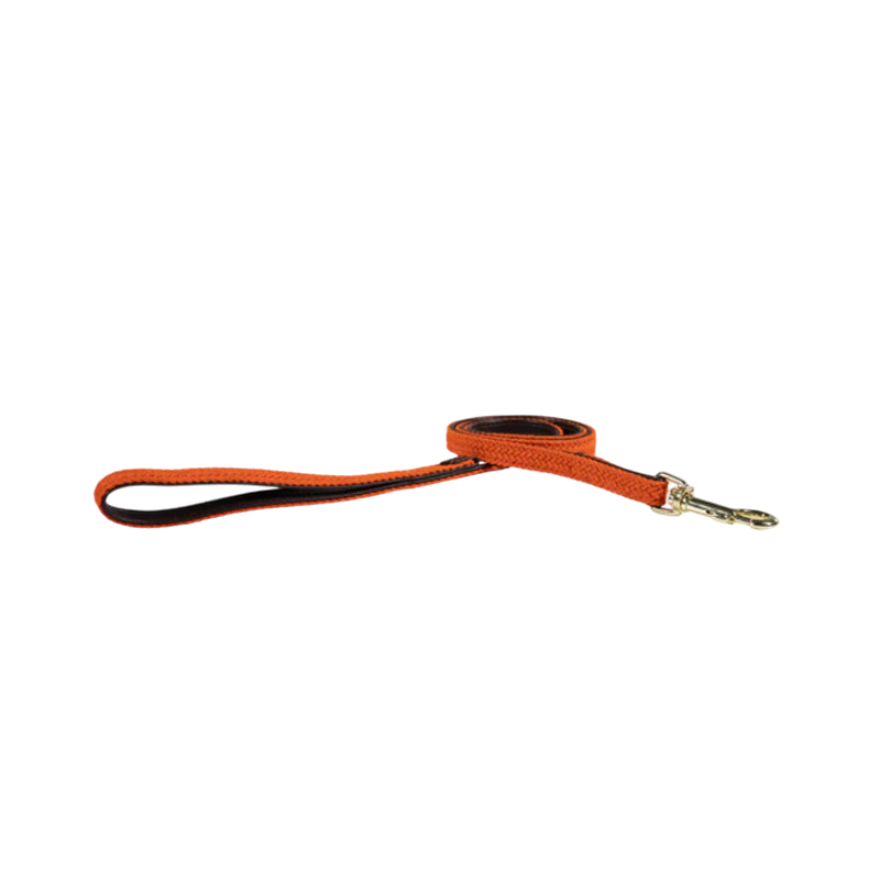 Kentucky Dogwear - Orange Braided Nylon Leash