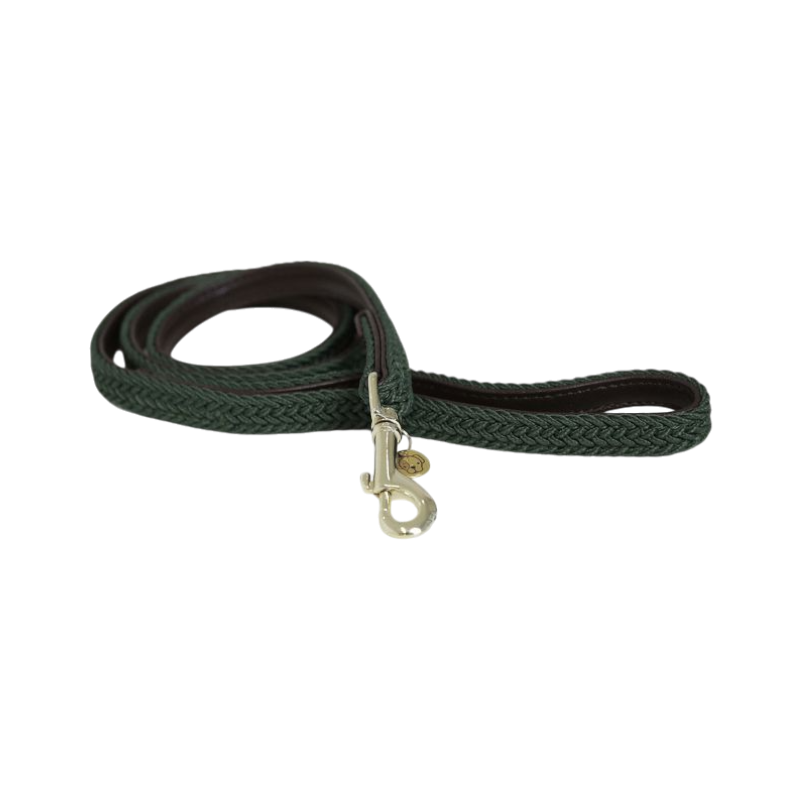 Kentucky Dogwear - Laat in gevlochten nylon vergulde nylon 200 cm olijfgroen