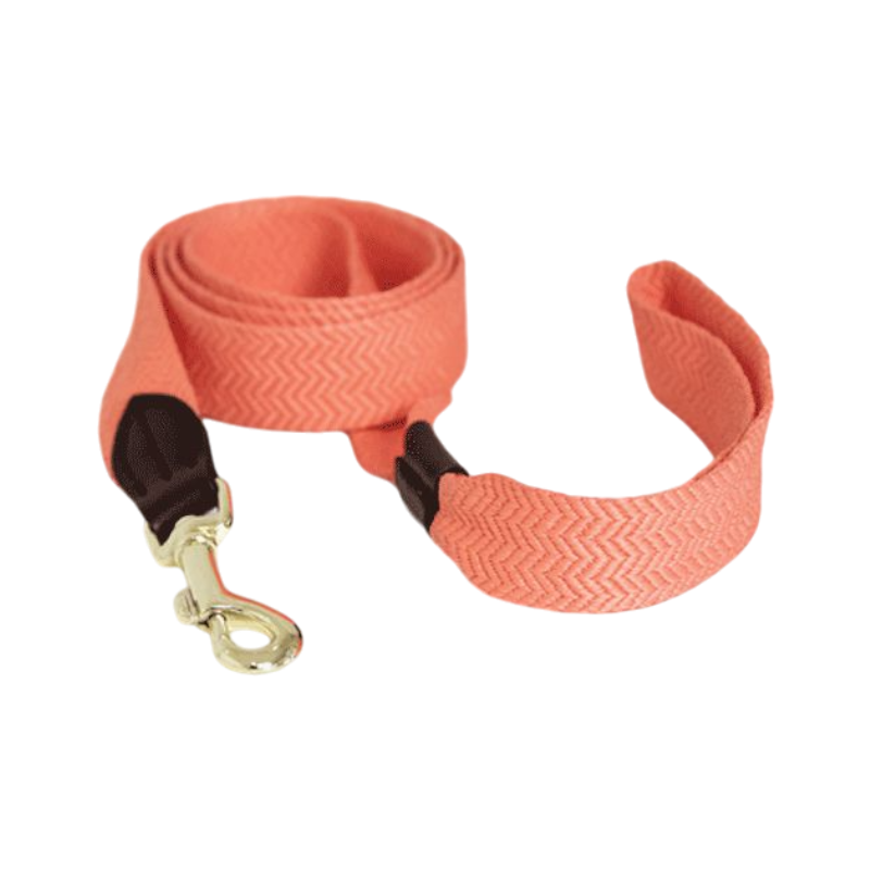 Kentucky Dogwear - Fluo Orange Jacquard Dog