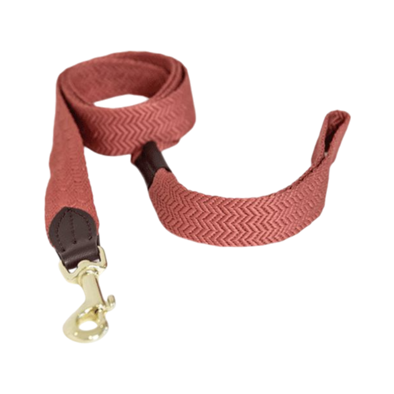 Kentucky Dogwear - Ga naar terracotta jacquard honden