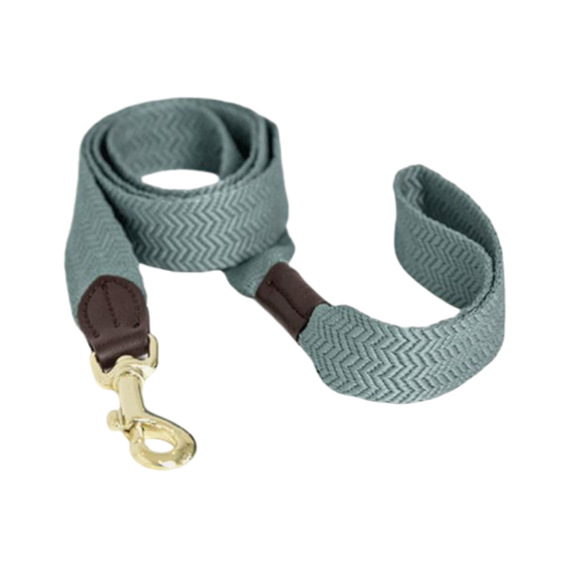 Kentucky Dogwear - Verlaat voor hondenblauwe hemel Jacquard