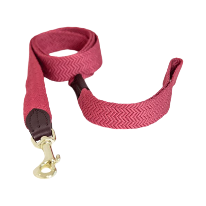 Kentucky Dogwear - Roze Jacquard Dog