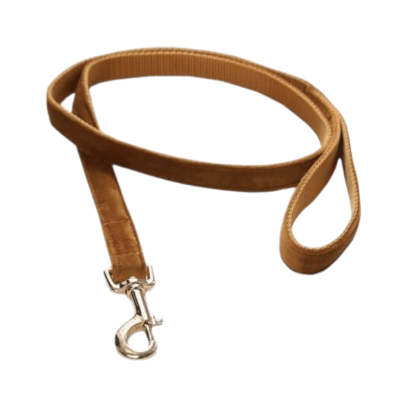 Kentucky Dogwear - riem voor fluweelhonden 120 cm mosterd