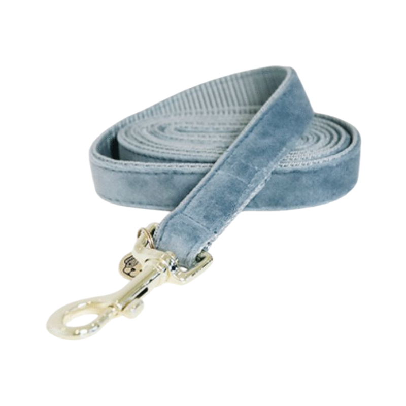 Kentucky Dogwear - riem voor fluweelhonden 120 cm lichtblauw