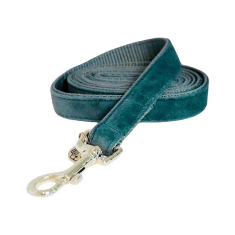 Kentucky Dogwear - Minder voor Velvet Dogs 120 cm Emerald