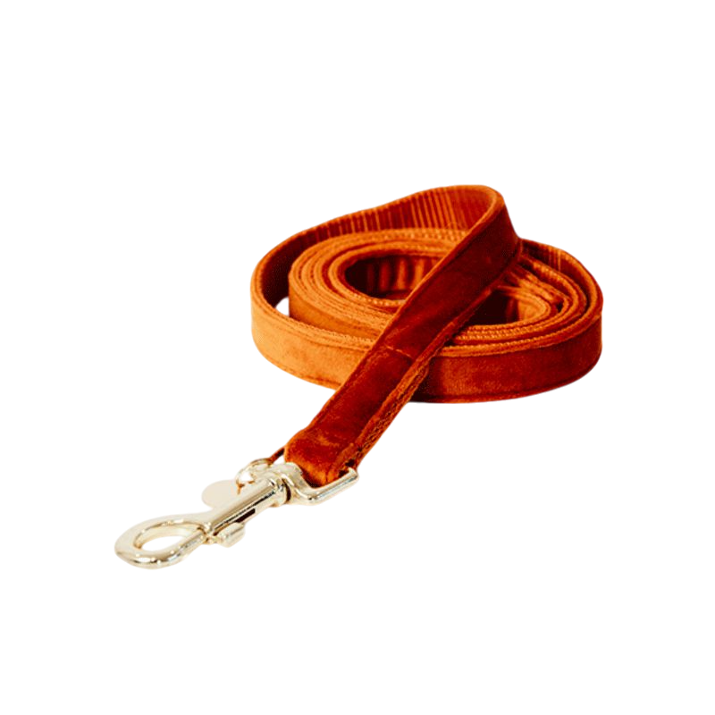 Kentucky Dogwear - Minder voor fluweelhonden 120 cm oranje