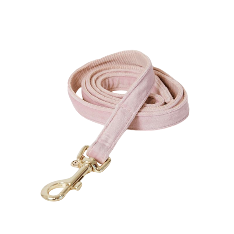 Kentucky Dogwear - Laat voor fluwelen honden 120 cm zacht roze