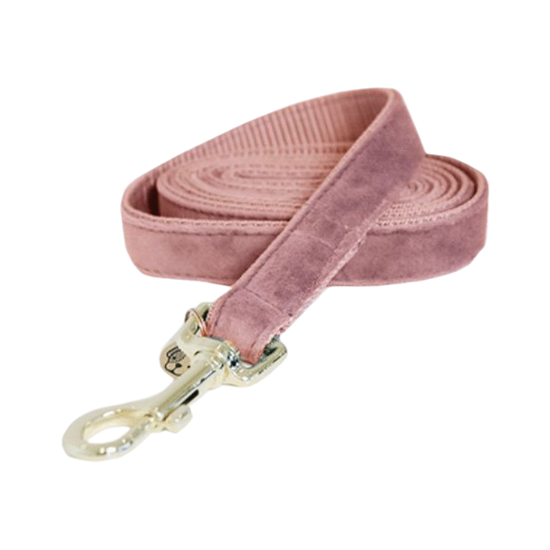 Kentucky Dogwear - riem voor fluweelhonden 120 cm oude roos