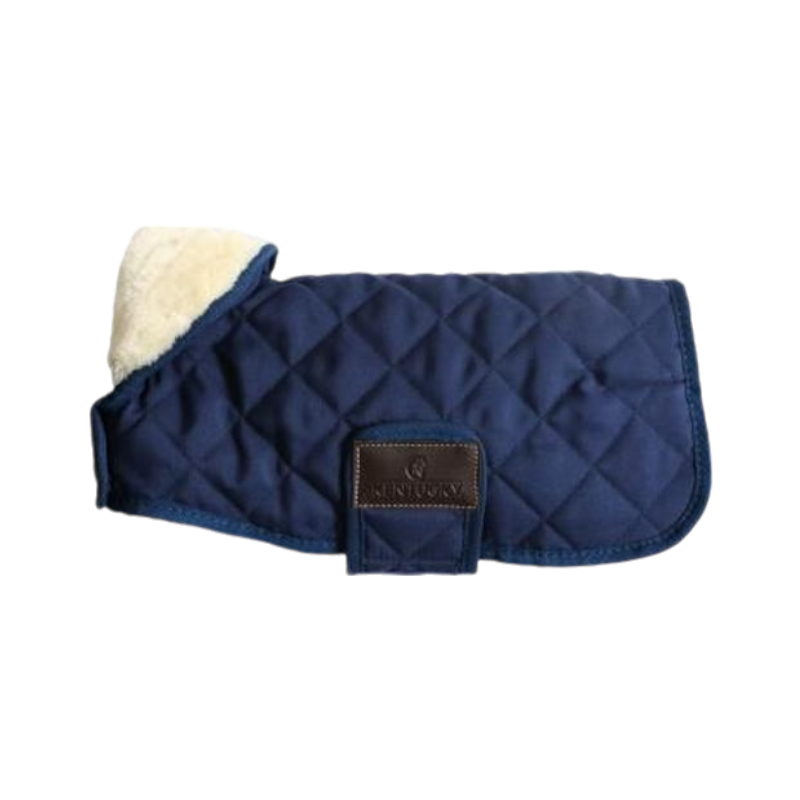 Kentucky Dogwear - Hondenjas 160 g marine