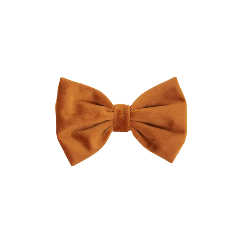 Kentucky Dogwear - Nœud papillon velvet orange