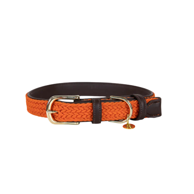 Kentucky Dogwear - Nylon tressé collier de chien orange