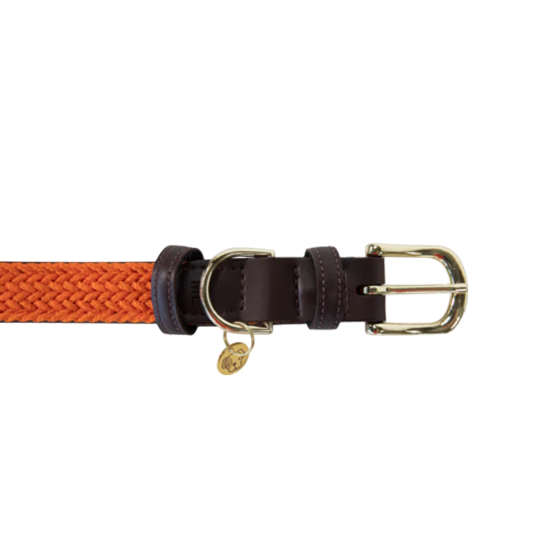 Kentucky Dogwear - Nylon tressé collier de chien orange