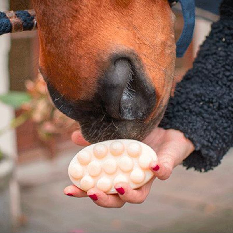 La Douche A Maouche - Solid shampoo for horses