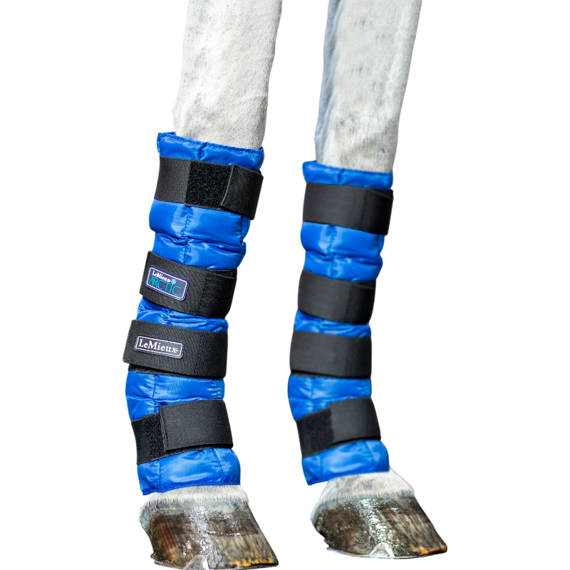Lemieux - Refreshing Arctic Ice Boot blue (x2) 
