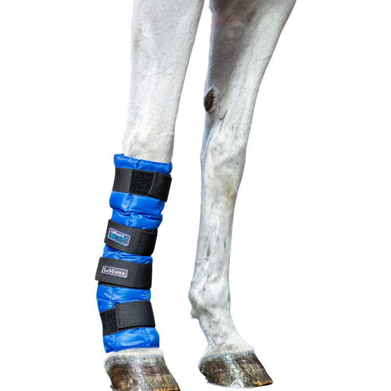 Lemieux - Refreshing Arctic Ice Boot blue (x2) 