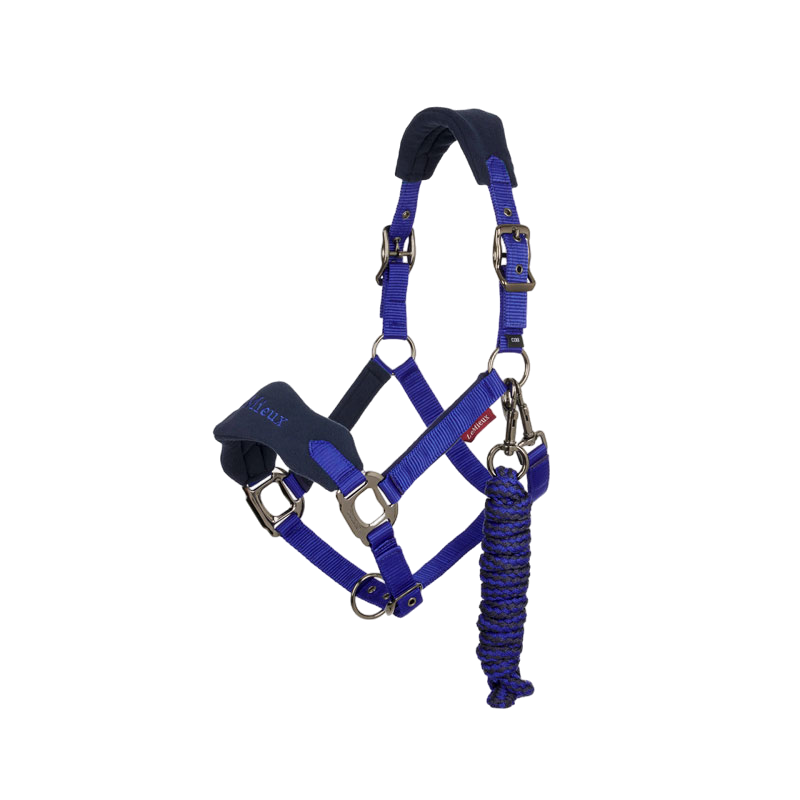 LeMieux - Vogue blue halter + lead set