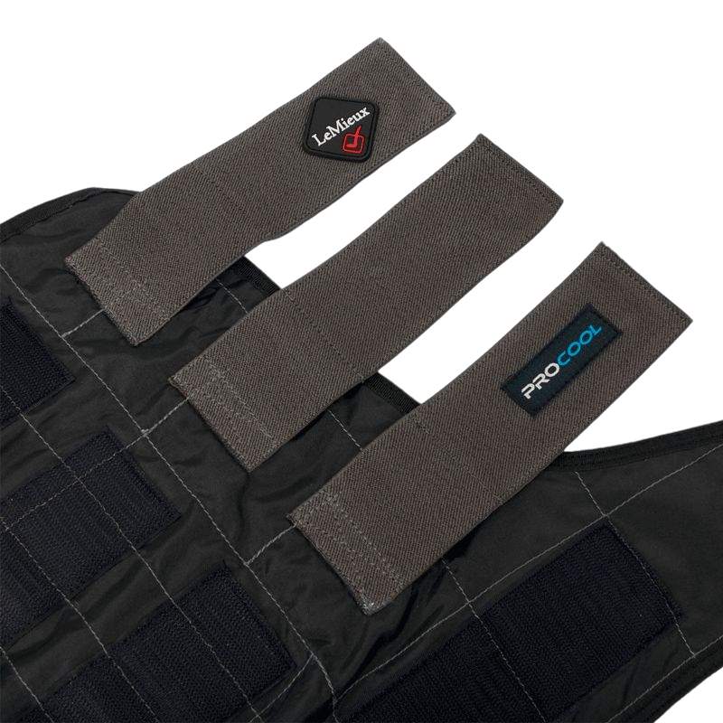 LeMieux - Cold Water gaiters black