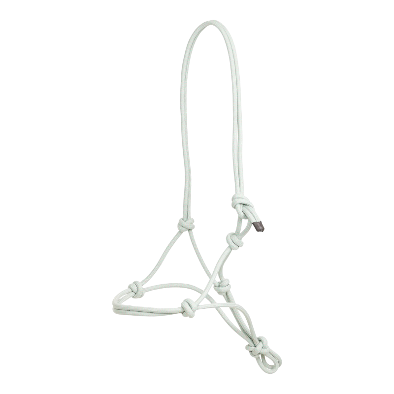 Lemieux - Licol Seil Halfter aqua 