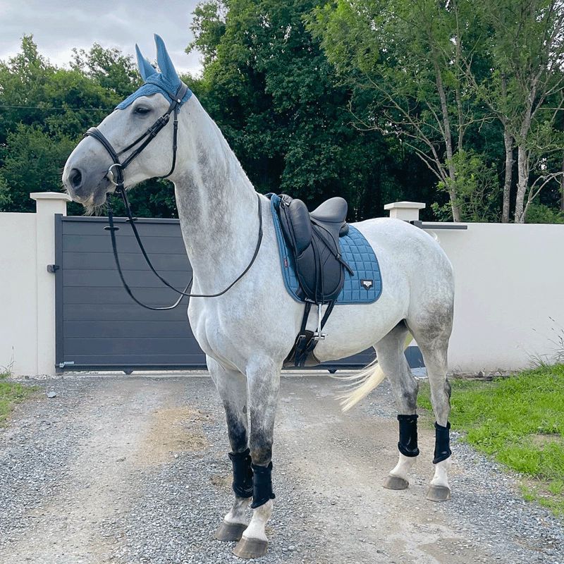 LeMieux - Tapis de dressage Loire Classic Square Ice Blue | - Ohlala