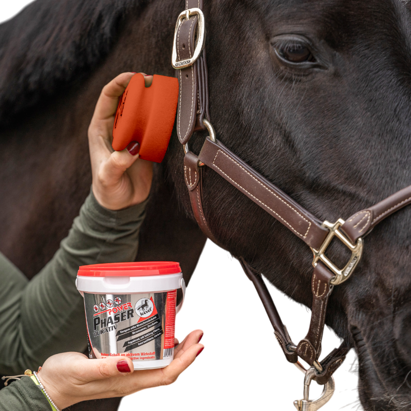 Leovet - Anti-Insekt-Gel mit Power Phaser empfindlicher Pferdeschwamm