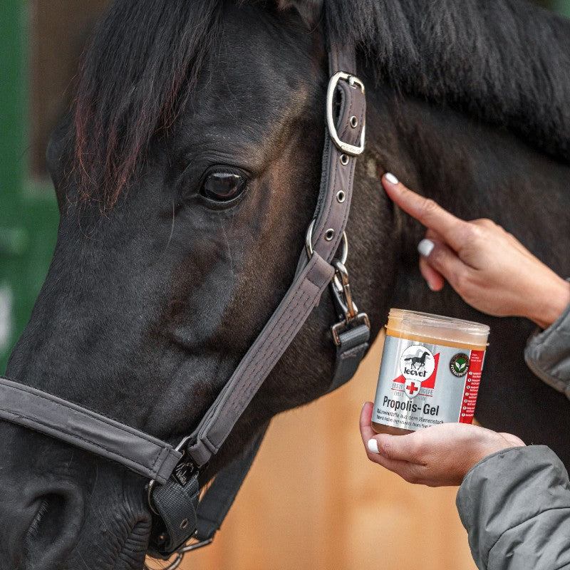 Leovet - Helende gel First Aid Propolis