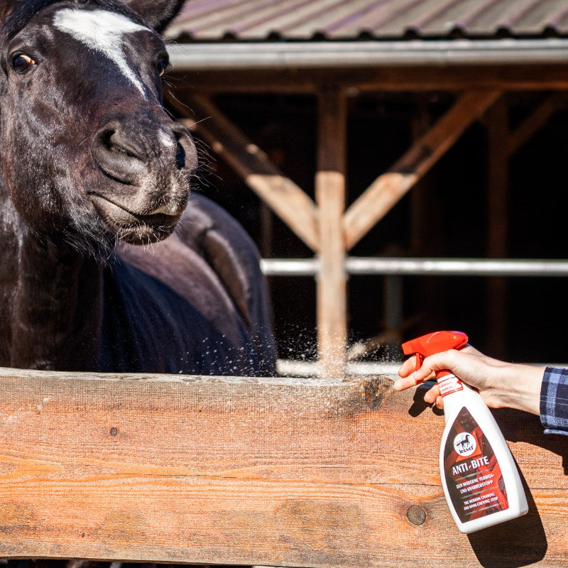 Leovet - Spray répulsif rongement Anti-Bite