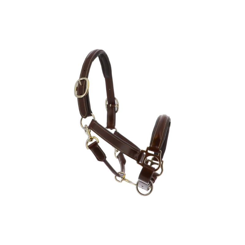 Lexington - Denver horse presentation halter 