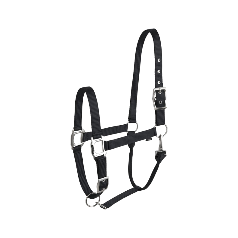 Equithème - Black Eclat horse halter