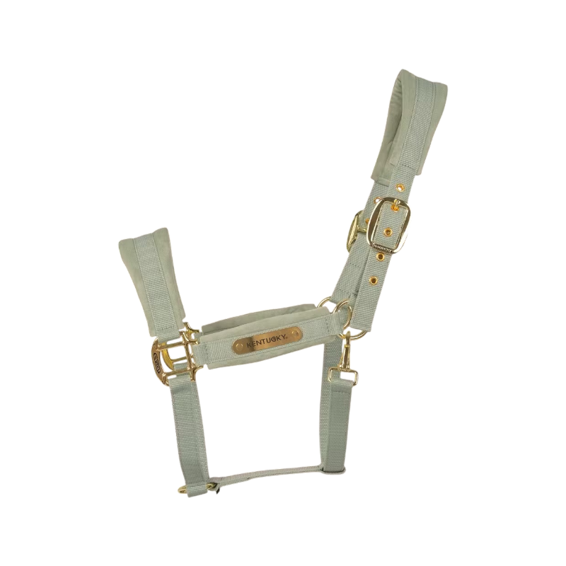 Kentucky Horsewear - Licol Velvet mint