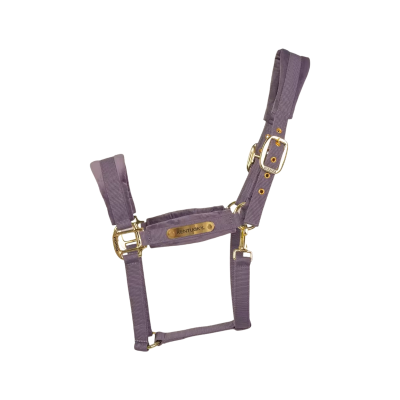 Kentucky Horsewear - Licol Velvet violet