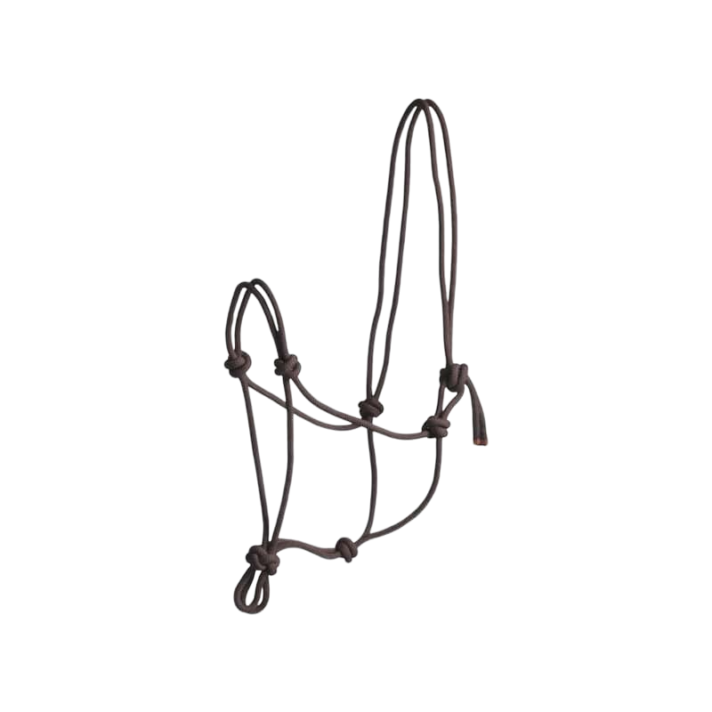 Norton - First brown rope halter