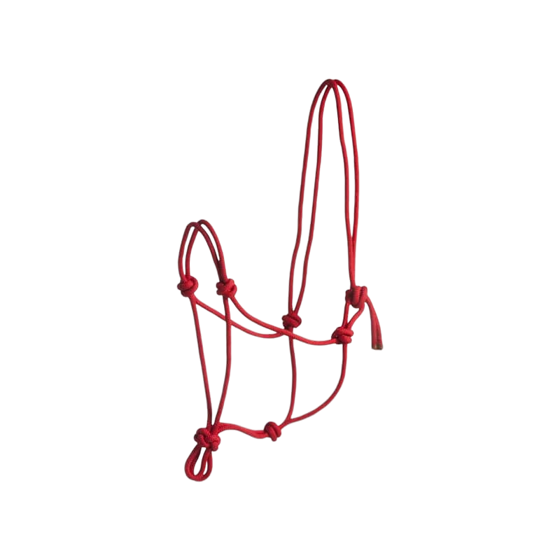 Norton - First rope halter red